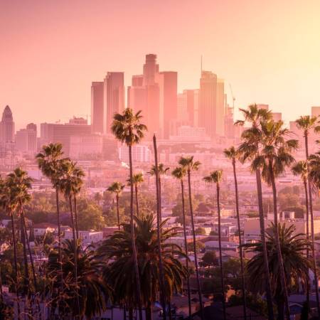 Studia w Los Angeles