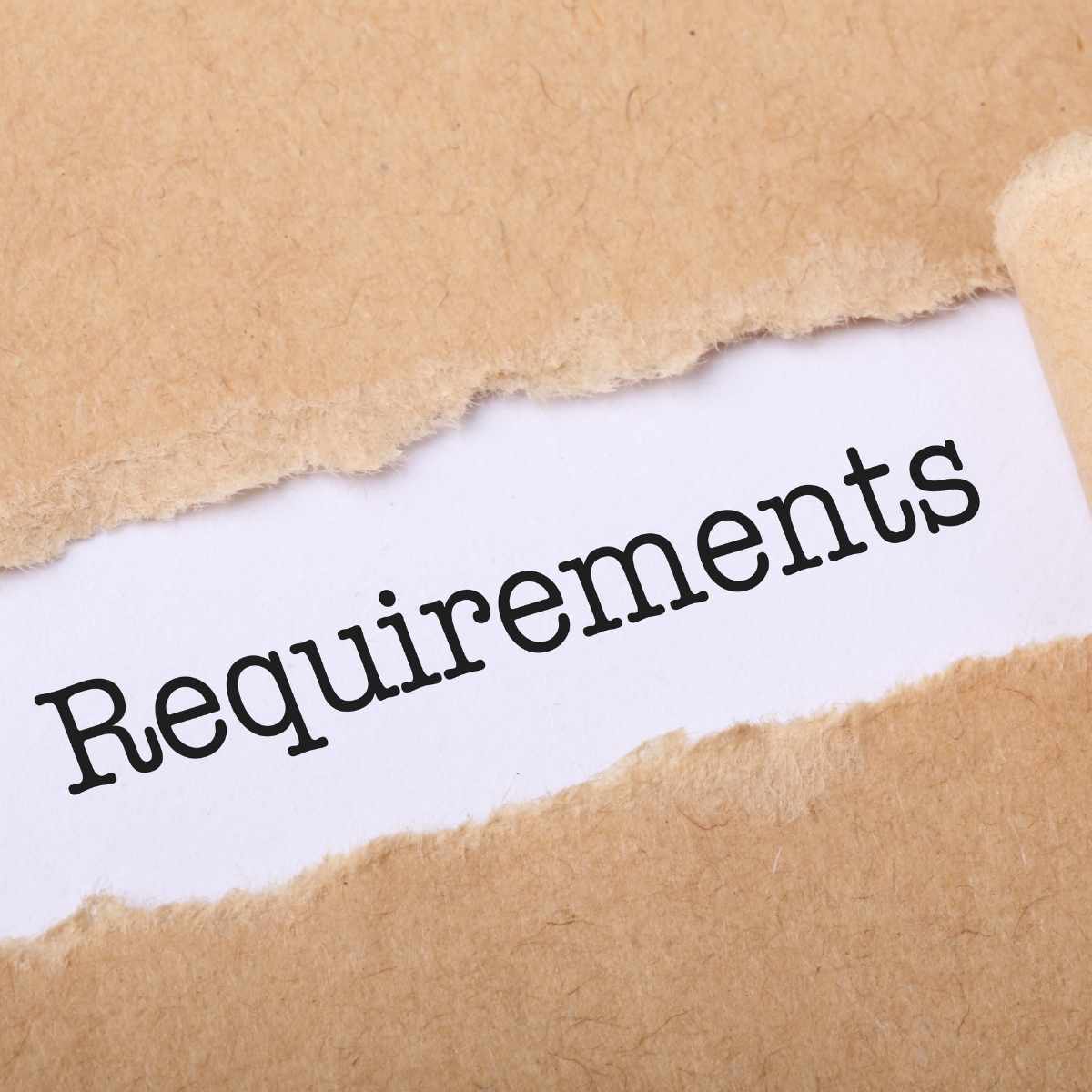 Studying in the Netherlands – requirements, documents and qualifications